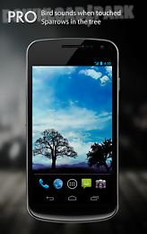 blue sky free live wallpaper