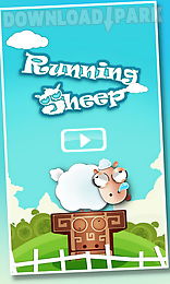 running sheep