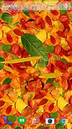 autumn leaves 3d lwp