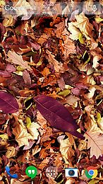 autumn leaves 3d lwp