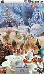 the real aquarium - lwp