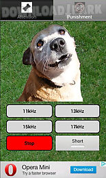 dog whistle - trainer for dog