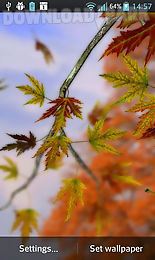 autumn leaves in hd gyro 3d