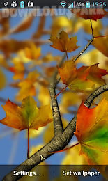 autumn leaves in hd gyro 3d