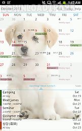 guru calendar free
