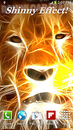 lion live wallpaper