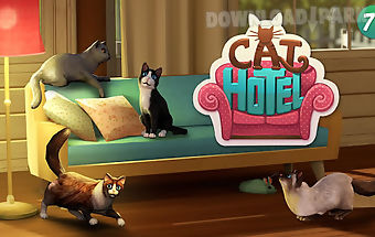 Cathotel - hotel for cute cats