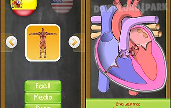 Learn human anatomy for kids