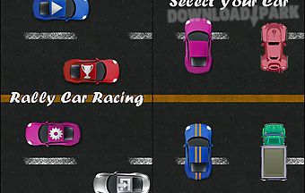 Rally car racing deluxe