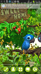 ur 3d cute jungle birds hd