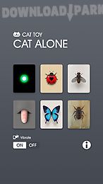 cat alone - cat toy
