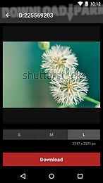 shutterstock