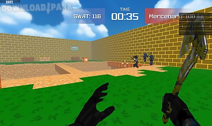 blocky combat swat