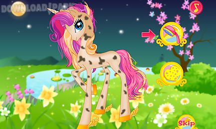 pony princess spa salon