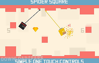 Spider square