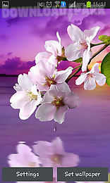 water drop: flowers and leaves