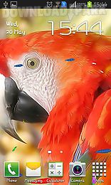 parrot by ttr