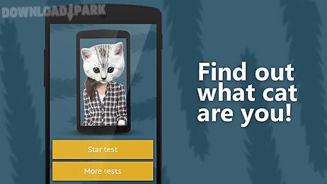 face scanner: what cat 2