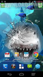 angry shark pet cracks screen