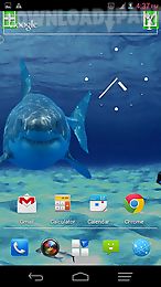 angry shark pet cracks screen