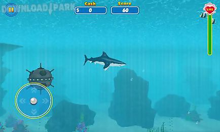shark attack simulator 3d