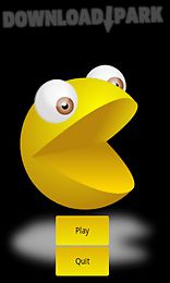 mypacman run new