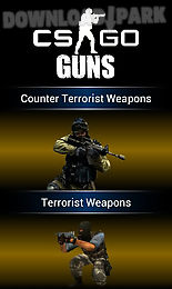 cs: global offensive guns