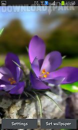 nature live: spring flowers 3d