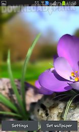 nature live: spring flowers 3d