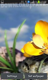 nature live: spring flowers 3d