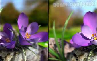 Nature live: spring flowers 3d