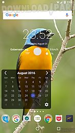 month calendar widget