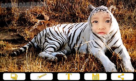 tiger photo frames