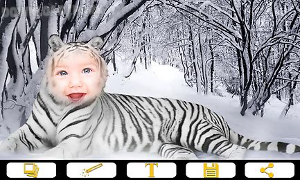 tiger photo frames