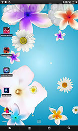 flowers live wallpaper