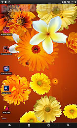 flowers live wallpaper