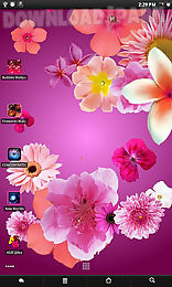 flowers live wallpaper