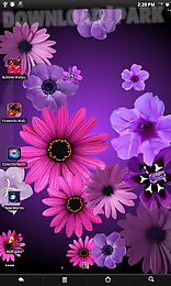 flowers live wallpaper