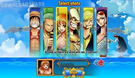 one piece: the will of d
