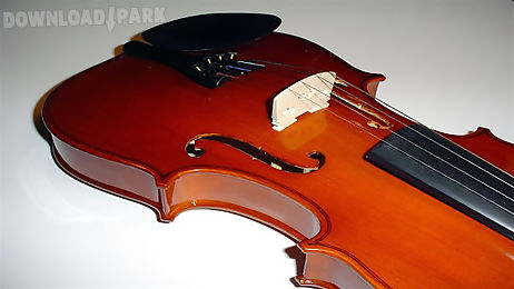 real violin