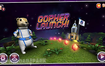 Gopher launch