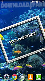 my photo under water lwp