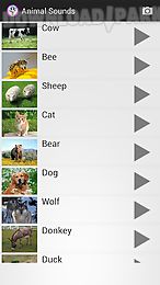 animal sounds - ringtones