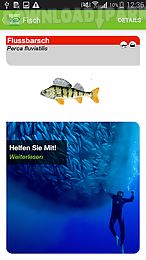 greenpeace fischratgeber 2016