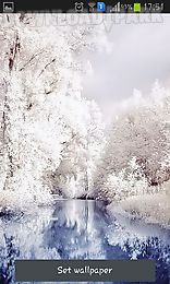 beautiful winter