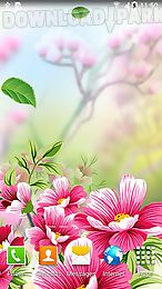 flowers by live wallpapers