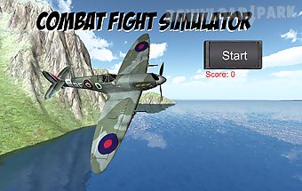 Combat flight simulator free