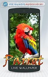 parrot live wallpaper