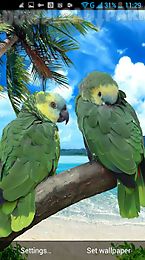 parrot live wallpaper