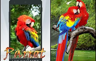 Parrot live wallpaper